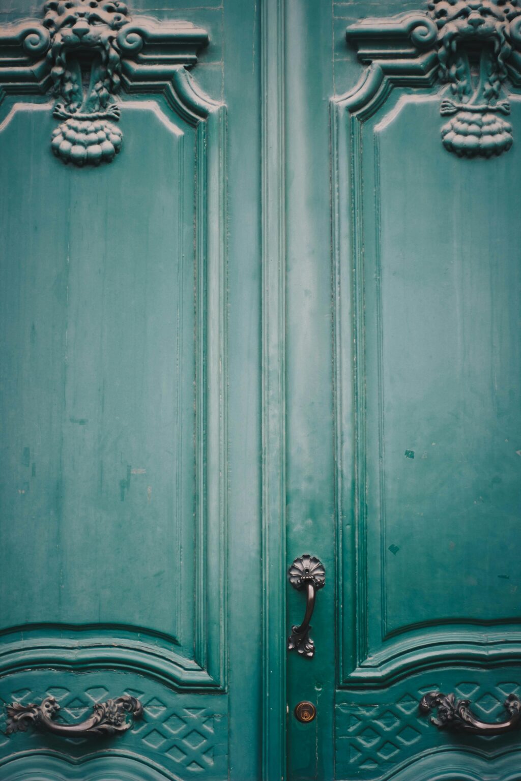 pexels-kpaukshtite-1591241
